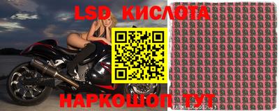 spice Усть-Илимск