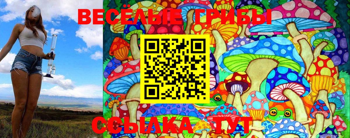 Ачхой-Мартан  Галлюциногенные грибы GOLDEN TEACHER  Вход с VPN 