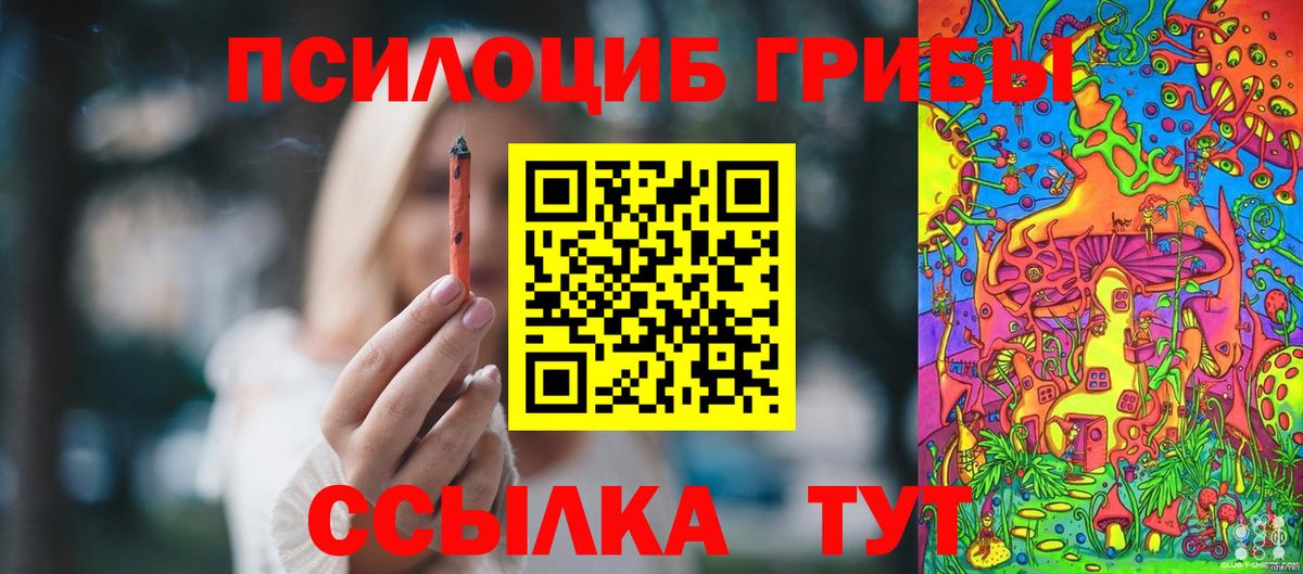 Псилоцибиновые грибы прущие грибы Ачхой-Мартан