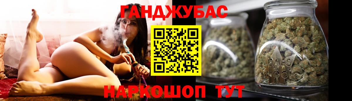 Каннабис планчик Ачхой-Мартан